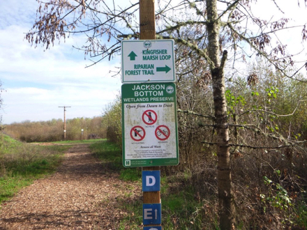 Informational sign shows no hunting, bikes, dogs – directions to Kingfisher Marsh Loop and Riparian Forest Trail